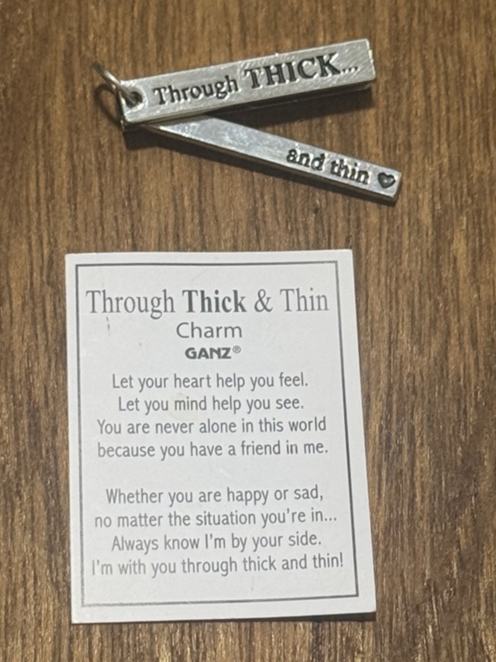 GANZ Silver "Through Thick & Thin" Friendship Charm Wall Accent